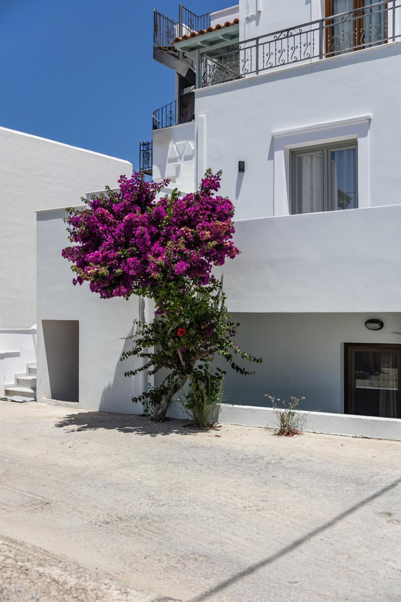 George'S Apartments Naxos City エクステリア 写真